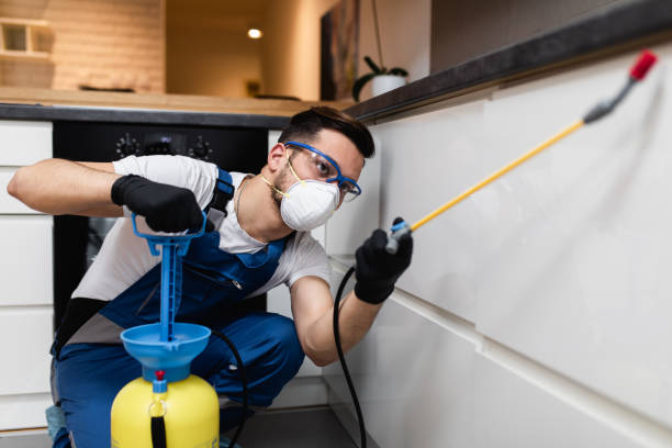 Best Rat Extermination Near Me  in Julian, CA
