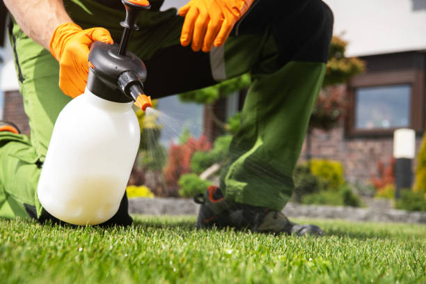 Best Wildlife Control Services  in Julian, CA