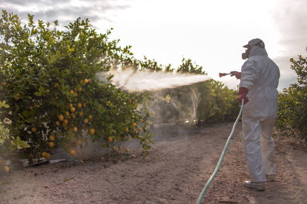 Best Pest Control Near Me  in Julian, CA