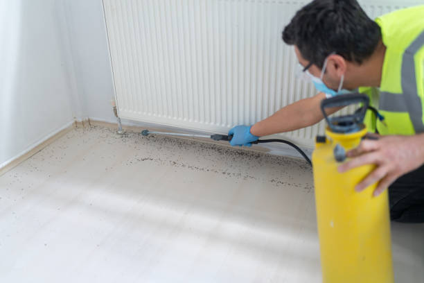 Best Pest Removal Services  in Julian, CA