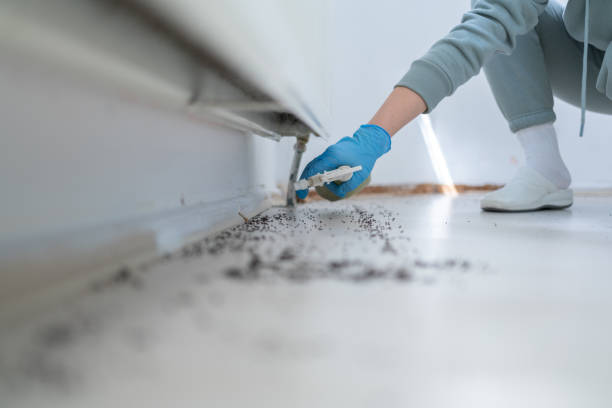 Best Residential Pest Control  in Julian, CA